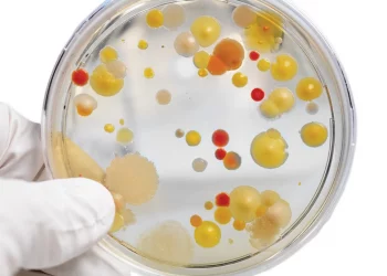 Hops Latent Viroid Testing