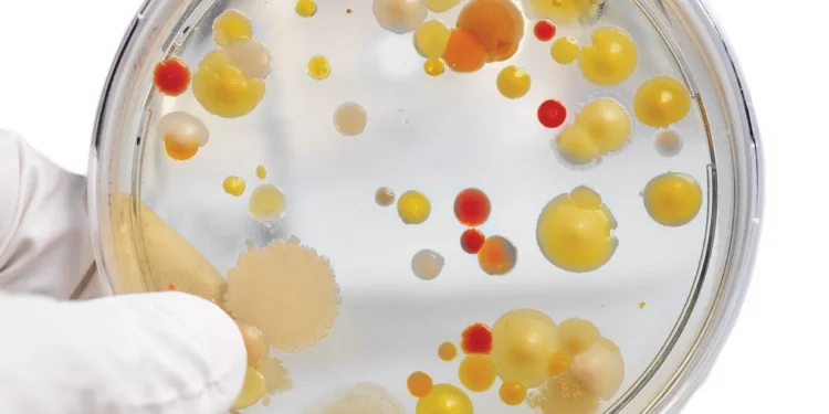 Hops Latent Viroid Testing