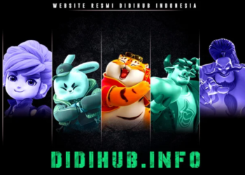 The Enigma of Didihub: Exploring a Mysterious Online Platform